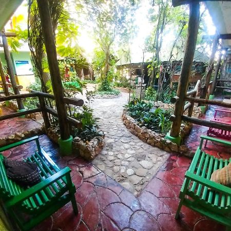 Hostal Dona Chava 페데르날레스 외부 사진