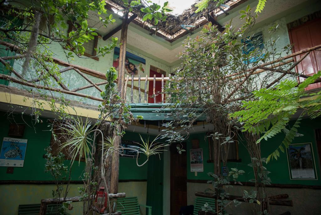Hostal Dona Chava 페데르날레스 외부 사진